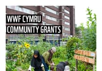 Deadline approaches for WWF Cymru Community Grants