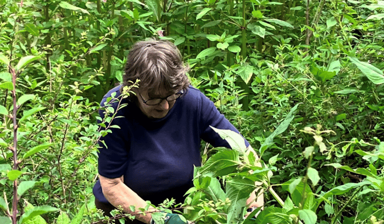 Volunteers control the spread of invasive species along our rivers.