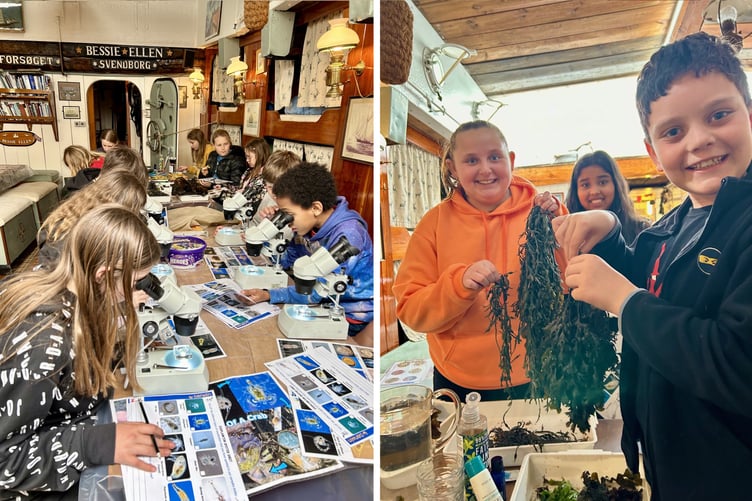 Pembroke Dock Community School examining plankton samples and investigating seaweed onboard the Bessie Ellen