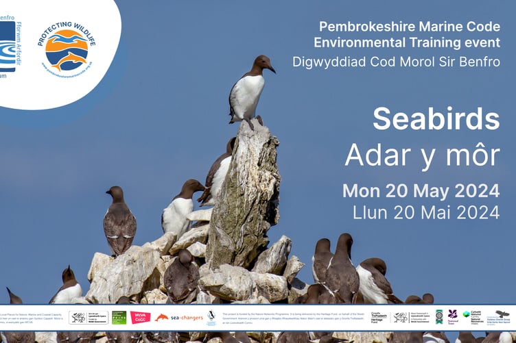 Seabirds Training event