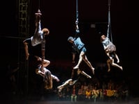 NoFit State circus is back
