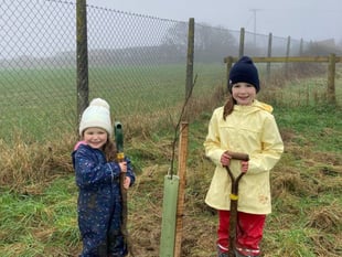 70th anniversary tree planting project comes to an end