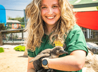 Breeding Season is back at Folly Farm’s Penguin Coast!
