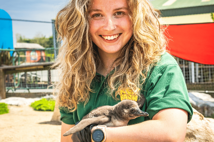 Becky with young chick Gorgonzola