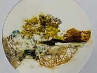 Narberth gallery’s ’Windfall Light‘ exhibition