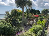 Tenby in Bloom is back to brighten up the seaside town!