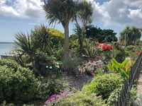 Tenby in Bloom is back to brighten up the seaside town!