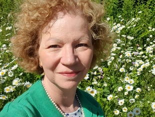 PAVS appoints new CEO