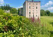 St Issell’s WI plans summer events over strawberry cream tea