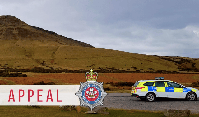 Stolen vehicle involved in collision