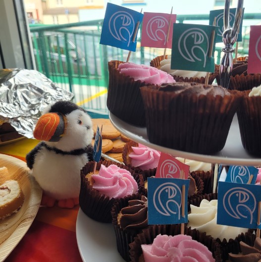 Host a Puffin Party to help protect Pembrokeshire’s stunning National Park for future generations.