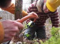Places available on Haverfordwest woodland carpentry course