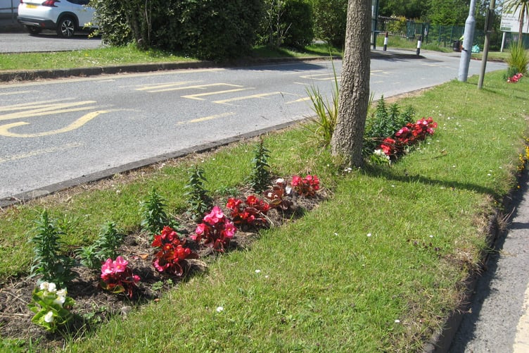 Kilgetty in Bloom 2023