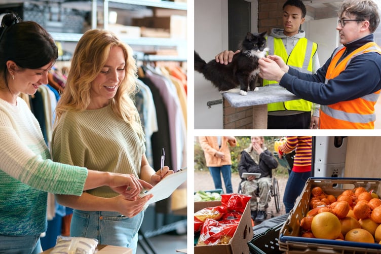 ansvar protect volunteers - do not reuse