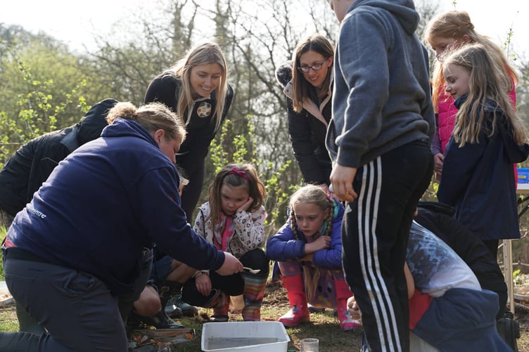 As a result of the Outdoor Schools partnership, schools and teaching staff across Pembrokeshire have been able to provide valuable learning experiences for pupils, often supported by outdoor learning specialists.