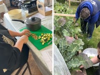 VC Gallery launches Garden to Plate project