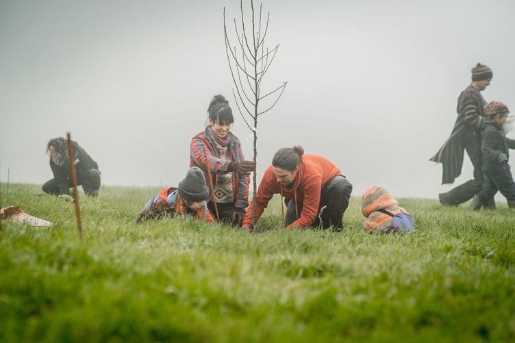 Tree planting at Lords Park Farm