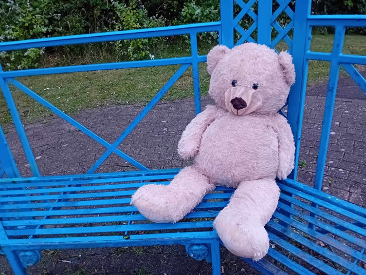 Teddy Ed at the bandstand, Pembroke Dock