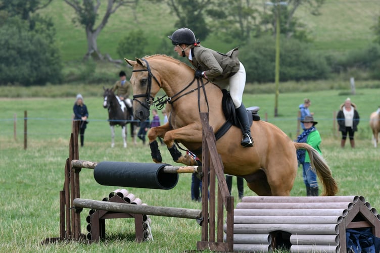 Horse jumping, Pembroke Town & Country Show, Lamphey