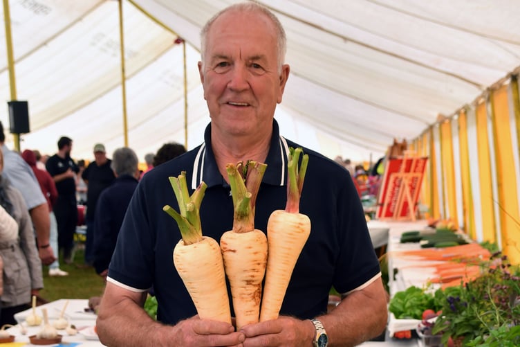 Pembroke Town & Country Show, Lamphey - horticulture