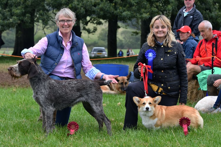 Winning dogs, Pembroke Town & Country Show, Lamphey