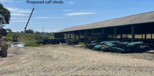 Welfare buildings for dairy farm near Kilgetty expected to be approved