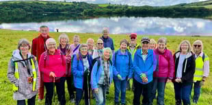 Pembrokeshire Steps2Health walks July roundup