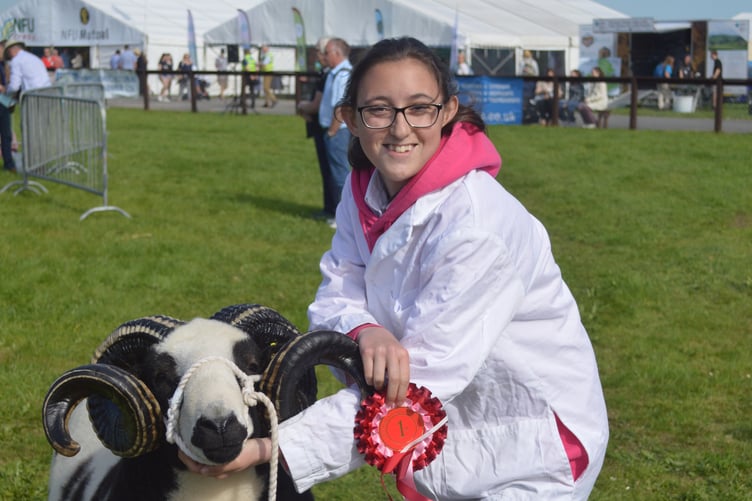 Pembrokeshire County Show livestock