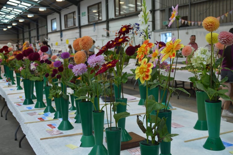 Flowers at Pembrokeshire County Show