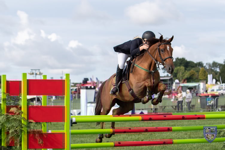 Showjumping at the County Show