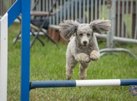 Sponsorship helps make County Show extra special