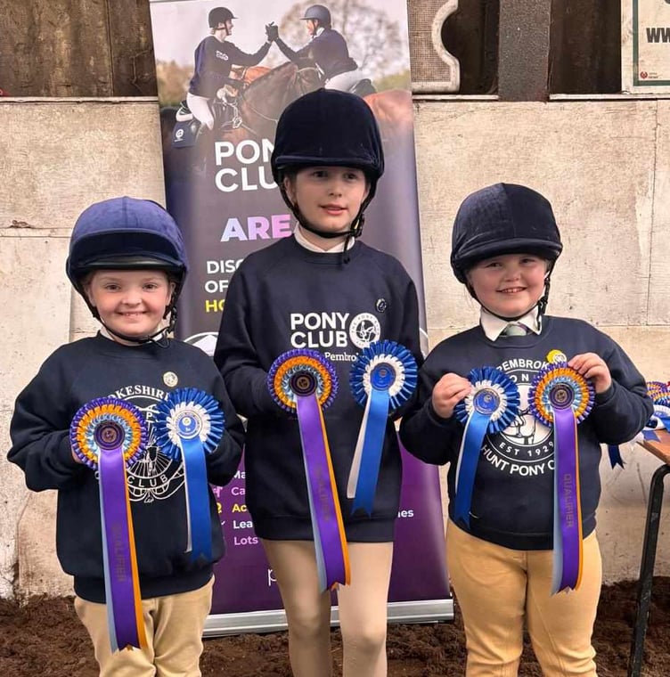 South Pembrokeshire & Cresselly Hunt Pony Club’s Mini Horse & Pony Care Team
