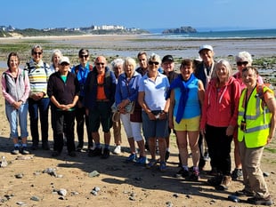 Steps2Health walks in Tenby and Pembrokeshire, August 2024