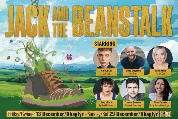 Torch Christmas 2024 panto Jack and the Beanstalk cast announced