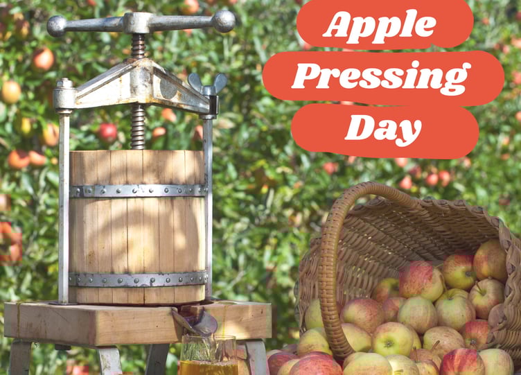 Apple Pressing Day