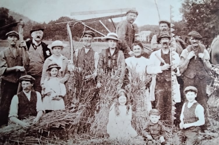Harvest time on a Welsh country estate