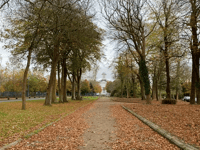 Wildlife in focus as historic Carriage Drive revived