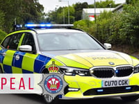 Fatal A477 crash appeal: Witnesses needed