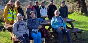 ‘Hardy’ Tenby Steps2Health walkers take chilly January in their stride