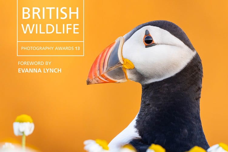 British Wildlife Photography Awards 13