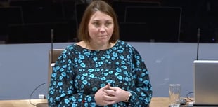 Plaid Cymru accuses Reform UK of Welsh asset stripping