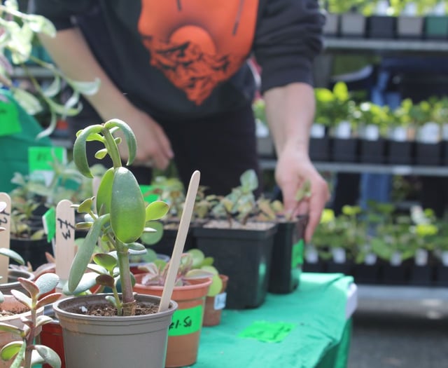 Narberth Big Plant Sale’s biggest year yet
