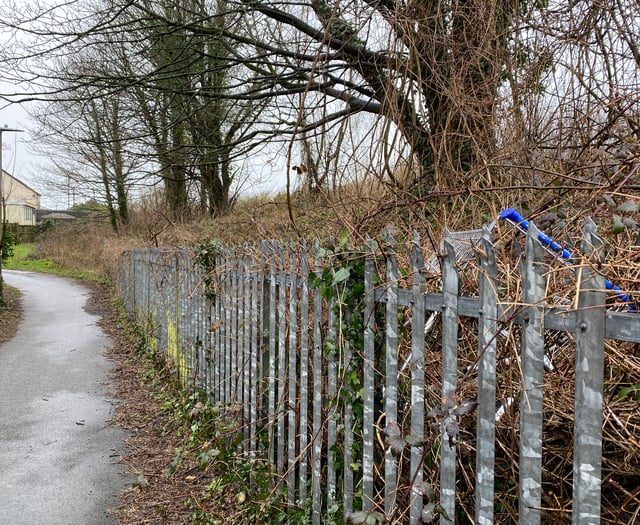 Trolley ‘fly tipping’ at Pembroke Dock