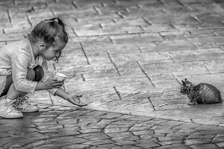 Jan Sullivan (Tenby Camera Club) - A Handful of Kindness