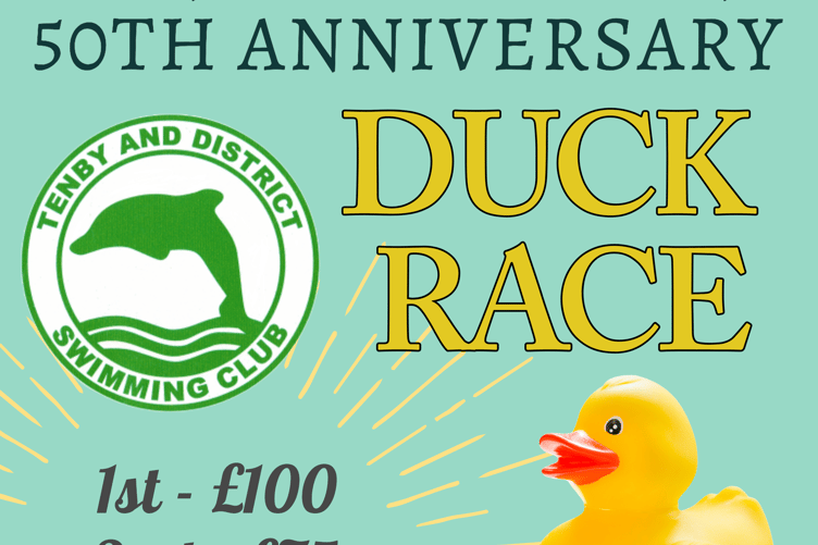 Tenby Dolphins 50th Anniversary Duck Race - poster