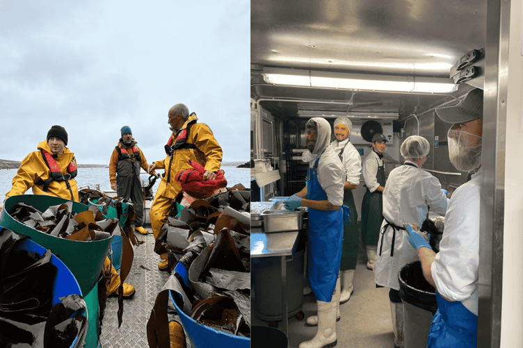 Câr-Y-Môr is helping to advance Wales’ £105M Regenerative Sea farming Industry, and has launched a crowdfunder to support growth.