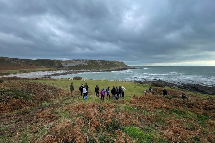 Visitors watching ponies grazing on Gower