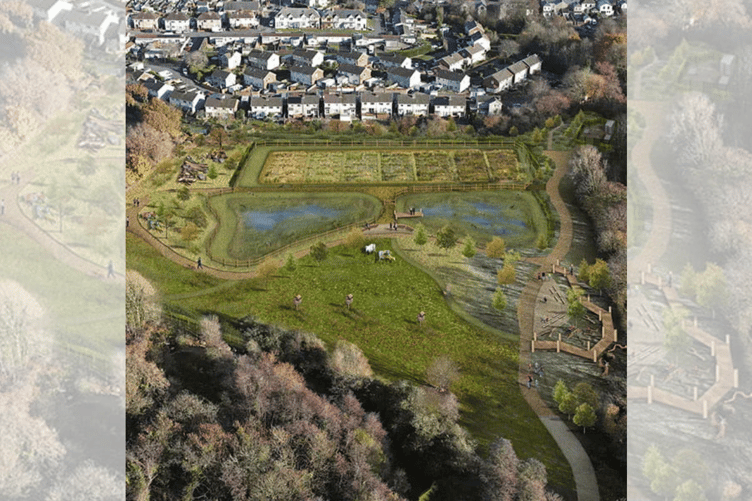 An artistic impression of the Pont-y-felin reedbed filtration system