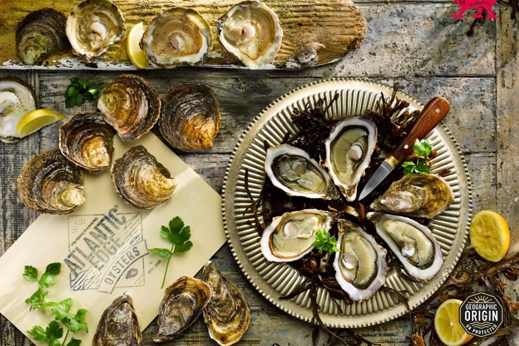 Proud to fly the flag for Welsh seafood - Atlantic Edge Oysters