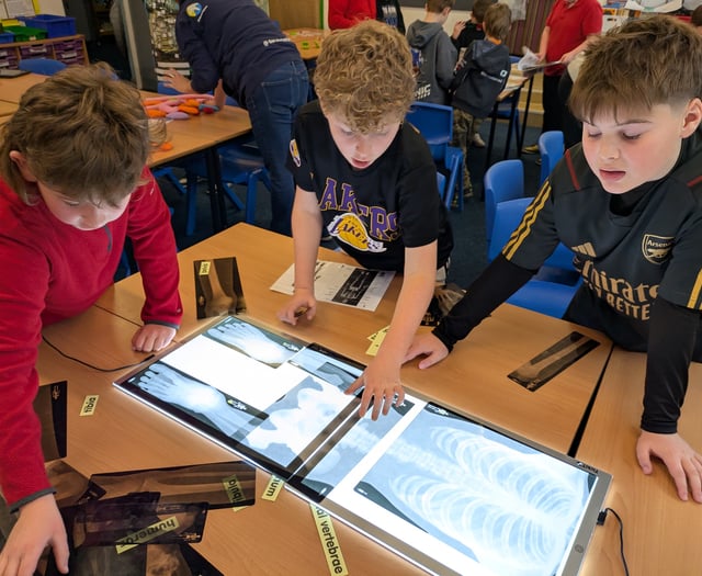 Fenton pupils dive into anatomy at Darwin Experience Workshop